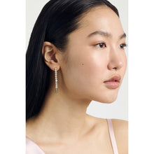 Load image into Gallery viewer, ted baker mellsie: icon crystal drop earring