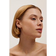 Load image into Gallery viewer, ted baker crisete: logo hoop earrings (10mm) silver tone