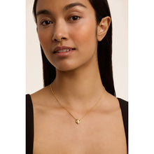 Load image into Gallery viewer, ted baker florita: crystal flower pendant necklace gold tone, clear crystal