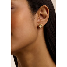 Load image into Gallery viewer, ted baker florine: crystal flower stud earrings gold tone, clear crystal