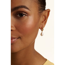 Load image into Gallery viewer, ted baker tilly: twisted pearl drop earrings gold tone