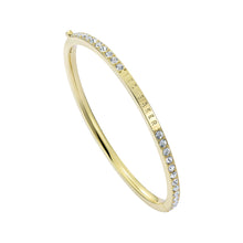 Load image into Gallery viewer, TBJ4062-02-02