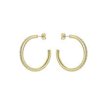 Load image into Gallery viewer, ted baker clanci: medium crystal gold tone hoop earrings