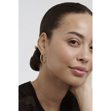Load image into Gallery viewer, ted baker clanci: medium crystal gold tone hoop earrings