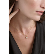 Load image into Gallery viewer, ted baker paige: pave crystal padlock pendant necklace gold tone clear crystal