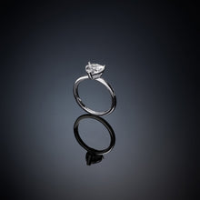 Load image into Gallery viewer, J19AVI39-14
