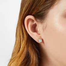 Load image into Gallery viewer, chiara ferragni classic gold plated crystal stud earring 6x6mm
