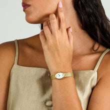 Load image into Gallery viewer, lucien rochat precieux 20mm 2h silver dial gold plated mesh band

