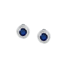 Load image into Gallery viewer, morellato silver tesori earring silv925 rh cz blue+white
