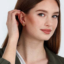 Load image into Gallery viewer, morellato 18k gold plated istanti earrings  heart

