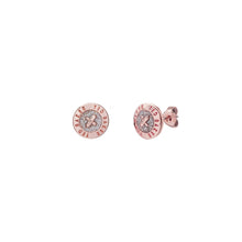 Load image into Gallery viewer, ted baker-mini button sparkle earring

