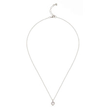 Load image into Gallery viewer, ted baker-crystal heart pendant silver/crystal
