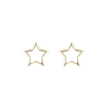 Load image into Gallery viewer, ted baker-: interstella stud earring
