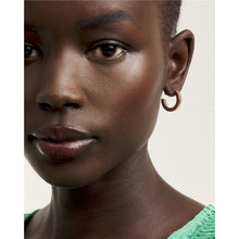 Load image into Gallery viewer, ted baker crystal hoop rose gold earrings
