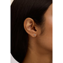 Load image into Gallery viewer, ted baker sinee: mini crystal stud earrings, silver tone, clear crystal
