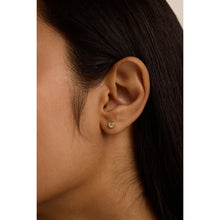 Load image into Gallery viewer, ted baker sinee: mini crystal stud earrings, gold tone, clear crystal
