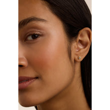 Load image into Gallery viewer, ted baker sinee: mini crystal stud earrings, gold tone, clear crystal
