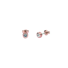 Load image into Gallery viewer, ted baker sinee: mini crystal stud earrings, rose gold tone, clear crystal
