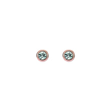 Load image into Gallery viewer, ted baker sinee: mini crystal stud earrings, rose gold tone, clear crystal
