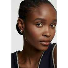 Load image into Gallery viewer, ted baker hrlias crystal doublr hoop crystal earring
