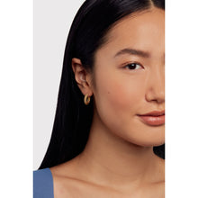 Load image into Gallery viewer, ted baker dotetta: dotty hoop earrings gold tone
