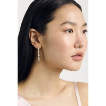 Load image into Gallery viewer, ted baker mellsie: icon crystal drop earring
