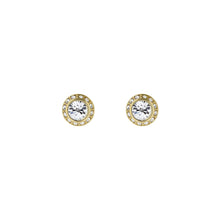 Load image into Gallery viewer, ted baker soletia: solitaire sparkle crystal stud earrings gold tone, clear crystal

