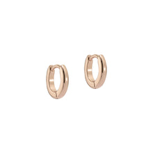 Load image into Gallery viewer, ted baker crisete: logo hoop 10mm earrings rose gold tone

