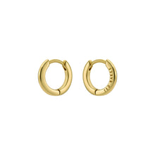 Load image into Gallery viewer, ted baker crislie logo 12mm hoop earring gold tone
