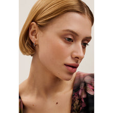 Load image into Gallery viewer, ted baker heplie: crystal hoop earrings (14mm) silver tone, clear crystal
