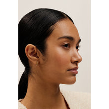 Load image into Gallery viewer, ted baker heplie: crystal hoop earrings (14mm) gold tone, clear crystal
