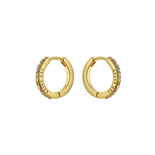 Load image into Gallery viewer, ted baker heplie: crystal hoop earrings (14mm) gold tone,, rainbow crystal
