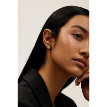 Load image into Gallery viewer, ted baker cherelle: crystal button stud earrings gold tone, pink crystal
