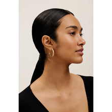 Load image into Gallery viewer, ted baker mellia: medium double crystal hoop earrings gold tone, clear crystal

