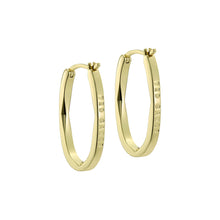 Load image into Gallery viewer, ted baker shivanna: crystal shimmer gold tone hoop earrings
