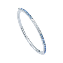 Load image into Gallery viewer, ted baker claudia: narrow crystal hinged bangle bracelet�
