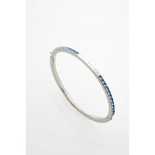 Load image into Gallery viewer, ted baker claudia: narrow crystal hinged bangle bracelet�
