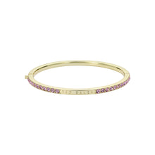 Load image into Gallery viewer, ted baker claudia: narrow crystal hinged bangle bracelet�

