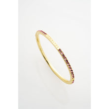 Load image into Gallery viewer, ted baker claudia: narrow crystal hinged bangle bracelet�
