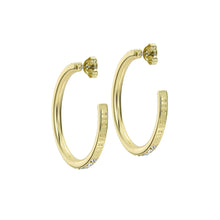 Load image into Gallery viewer, ted baker clanci: medium crystal gold tone hoop earrings
