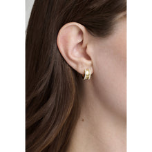 Load image into Gallery viewer, ted baker rosie: crystal roll huggie earrings gold tone clear crystal
