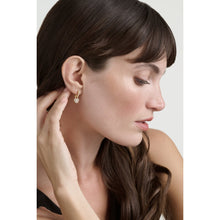 Load image into Gallery viewer, ted baker pari: pave crystal padlock huggie earrings gold tone clear crystal
