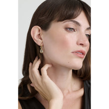 Load image into Gallery viewer, ted baker divine: crystal drop huggie earrings gold tone black diamond crystal
