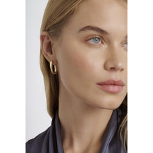 Load image into Gallery viewer, ted baker corie: contour hoop earrings
