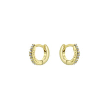 Load image into Gallery viewer, ted baker hettie: crystal hoop earrings (10mm)  gold tone clear crystal
