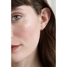 Load image into Gallery viewer, ted baker hettie: crystal hoop earrings (10mm)  gold tone clear crystal
