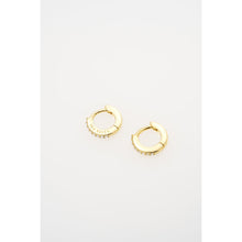 Load image into Gallery viewer, ted baker hettie: crystal hoop earrings (10mm)  gold tone clear crystal
