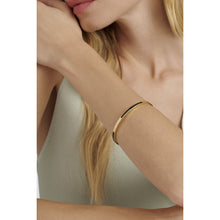 Load image into Gallery viewer, ted baker roley: classic colour enamel slim gold tone bangle bracelet
