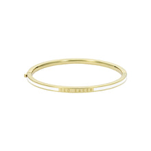 Load image into Gallery viewer, ted baker roley: classic colour enamel slim gold tone bangle bracelet
