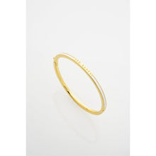 Load image into Gallery viewer, ted baker roley: classic colour enamel slim gold tone bangle bracelet
